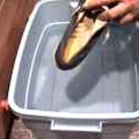  : Gallery : original : 2001 : 08 : T_wet425.jpg