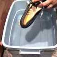  : Gallery : original : 2001 : 08 : T_wet426.jpg