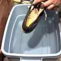  : Gallery : original : 2001 : 08 : T_wet428.jpg