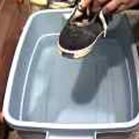  : Gallery : original : 2001 : 08 : T_wet429.jpg