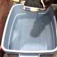  : Gallery : original : 2001 : 08 : T_wet430.jpg