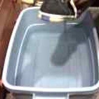  : Gallery : original : 2001 : 08 : T_wet431.jpg