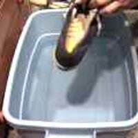  : Gallery : original : 2001 : 08 : T_wet432.jpg
