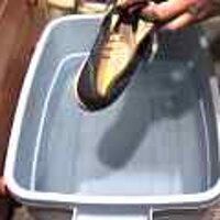 : Gallery : original : 2001 : 08 : T_wet433.jpg