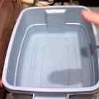 : Gallery : original : 2001 : 08 : T_wet435.jpg