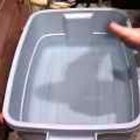  : Gallery : original : 2001 : 08 : T_wet436.jpg