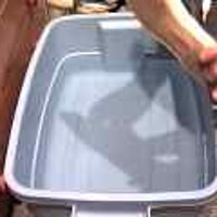  : Gallery : original : 2001 : 08 : T_wet437.jpg