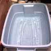  : Gallery : original : 2001 : 08 : T_wet439.jpg