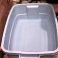  : Gallery : original : 2001 : 08 : T_wet444.jpg