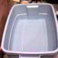 : Gallery : original : 2001 : 08 : T_wet452.jpg