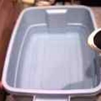  : Gallery : original : 2001 : 08 : T_wet456.jpg