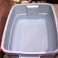  : Gallery : original : 2001 : 08 : T_wet457.jpg