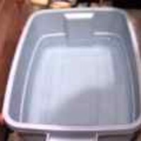  : Gallery : original : 2001 : 08 : T_wet463.jpg