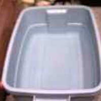  : Gallery : original : 2001 : 08 : T_wet466.jpg