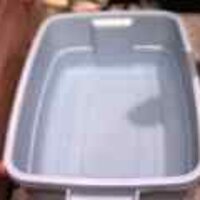  : Gallery : original : 2001 : 08 : T_wet467.jpg