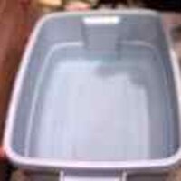  : Gallery : original : 2001 : 08 : T_wet468.jpg