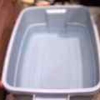  : Gallery : original : 2001 : 08 : T_wet469.jpg
