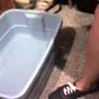  : Gallery : original : 2001 : 08 : T_wet472.jpg