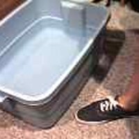  : Gallery : original : 2001 : 08 : T_wet473.jpg