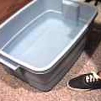  : Gallery : original : 2001 : 08 : T_wet474.jpg