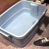  : Gallery : original : 2001 : 08 : T_wet476.jpg