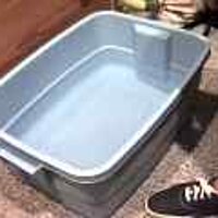  : Gallery : original : 2001 : 08 : T_wet478.jpg