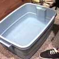  : Gallery : original : 2001 : 08 : T_wet479.jpg