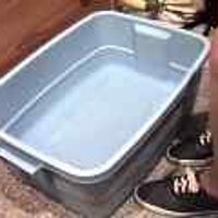  : Gallery : original : 2001 : 08 : T_wet481.jpg