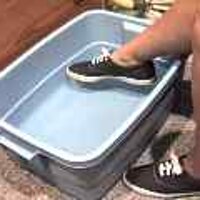  : Gallery : original : 2001 : 08 : T_wet483.jpg