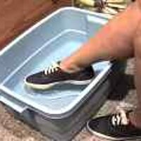  : Gallery : original : 2001 : 08 : T_wet484.jpg