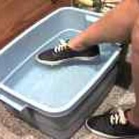  : Gallery : original : 2001 : 08 : T_wet486.jpg