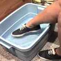  : Gallery : original : 2001 : 08 : T_wet487.jpg