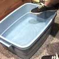  : Gallery : original : 2001 : 08 : T_wet491.jpg