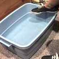  : Gallery : original : 2001 : 08 : T_wet492.jpg