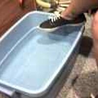  : Gallery : original : 2001 : 08 : T_wet493.jpg