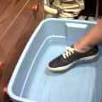  : Gallery : original : 2001 : 08 : T_wet495.jpg