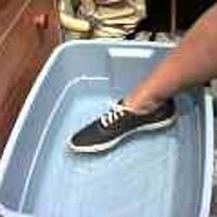  : Gallery : original : 2001 : 08 : T_wet496.jpg