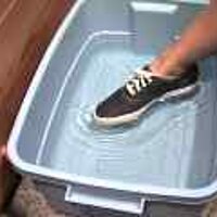 : Gallery : original : 2001 : 08 : T_wet497.jpg