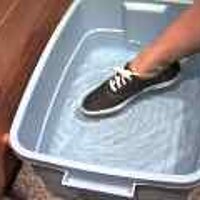  : Gallery : original : 2001 : 08 : T_wet498.jpg