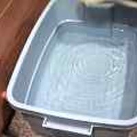  : Gallery : original : 2001 : 08 : T_wet505.jpg