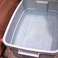  : Gallery : original : 2001 : 08 : T_wet507.jpg