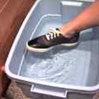  : Gallery : original : 2001 : 08 : T_wet516.jpg