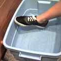  : Gallery : original : 2001 : 08 : T_wet523.jpg