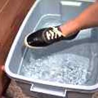 : Gallery : original : 2001 : 08 : T_wet531.jpg