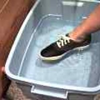  : Gallery : original : 2001 : 08 : T_wet543.jpg
