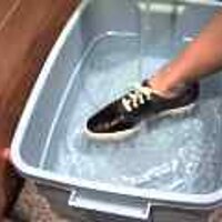  : Gallery : original : 2001 : 08 : T_wet544.jpg