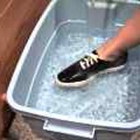  : Gallery : original : 2001 : 08 : T_wet546.jpg