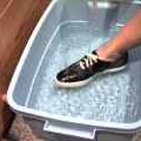  : Gallery : original : 2001 : 08 : T_wet548.jpg
