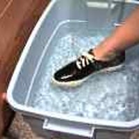  : Gallery : original : 2001 : 08 : T_wet549.jpg