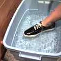  : Gallery : original : 2001 : 08 : T_wet550.jpg